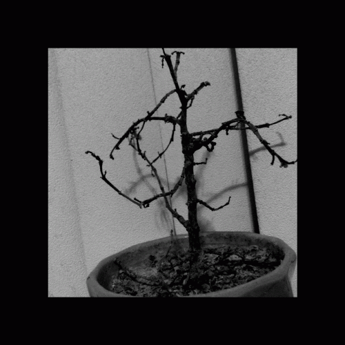 Closing My Last Chapter